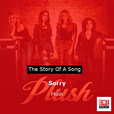 Sorry – Plush