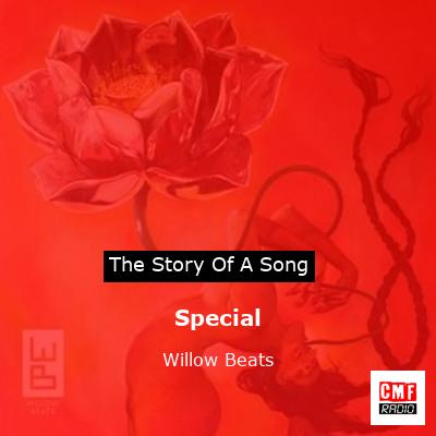 Special – Willow Beats