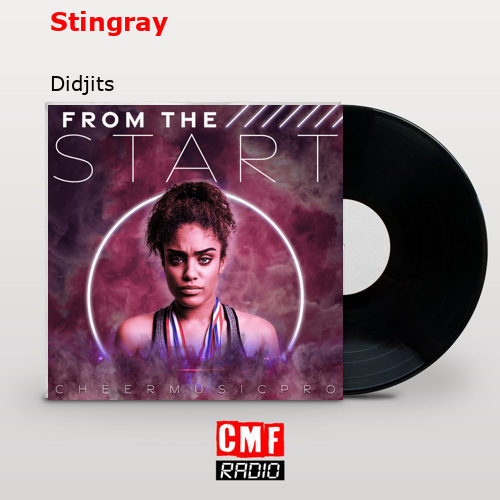 Stingray – Didjits