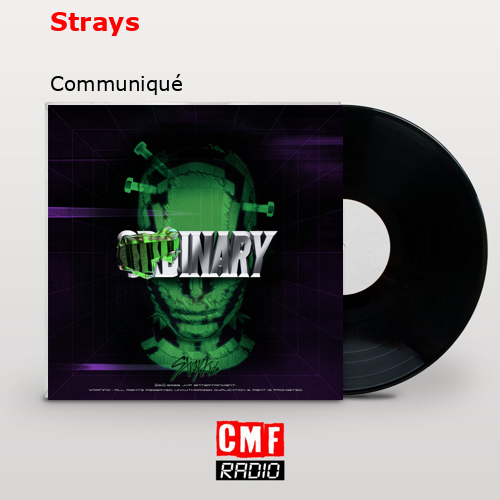 Strays – Communiqué