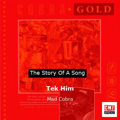 Tek Him – Mad Cobra