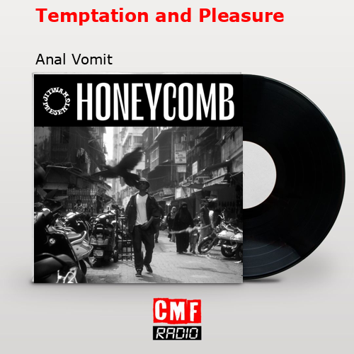 final cover Temptation and Pleasure Anal Vomit