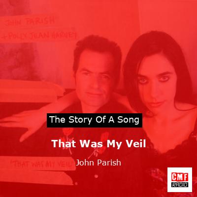That Was My Veil – John Parish