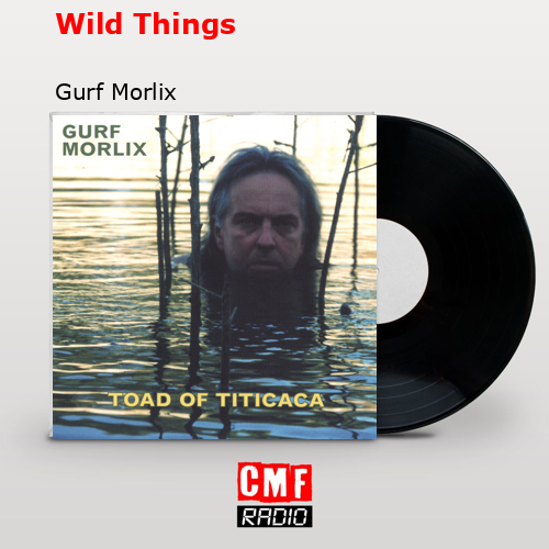 Wild Things – Gurf Morlix