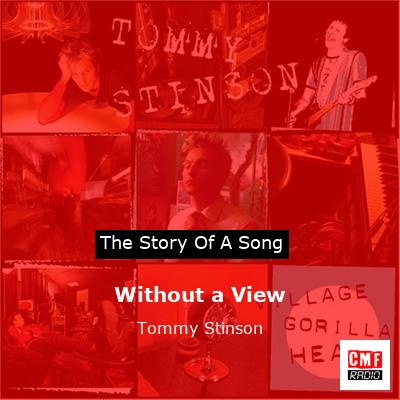 Without a View – Tommy Stinson