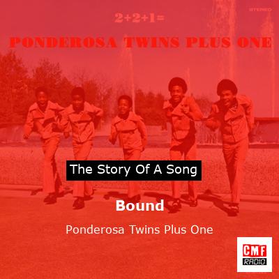 final cover Bound Ponderosa Twins Plus One