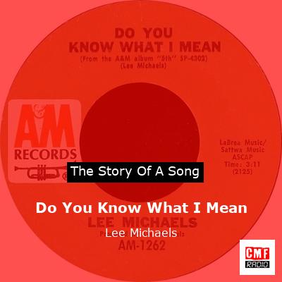 final cover Do You Know What I Mean Lee Michaels
