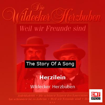 final cover Herzilein Wildecker Herzbuben