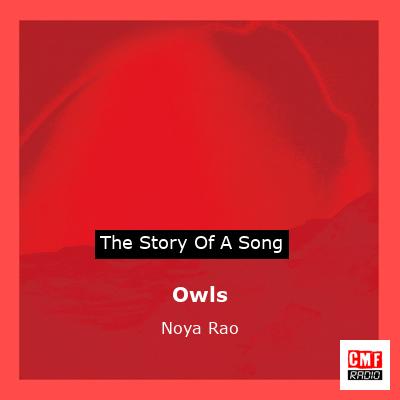 Owls – Noya Rao