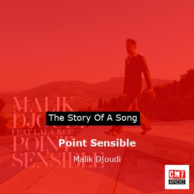 Point Sensible – Malik Djoudi