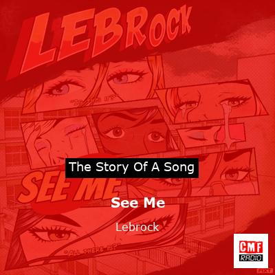 final cover See Me Lebrock