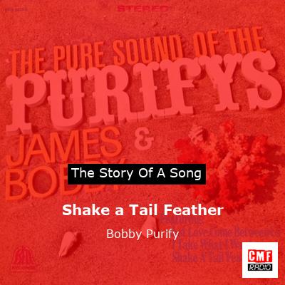 Shake a Tail Feather – Bobby Purify