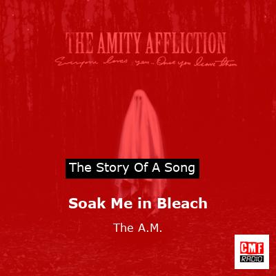 final cover Soak Me in Bleach The A.M