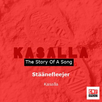 Stäänefleejer – Kasalla
