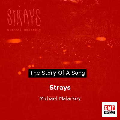 Strays – Michael Malarkey