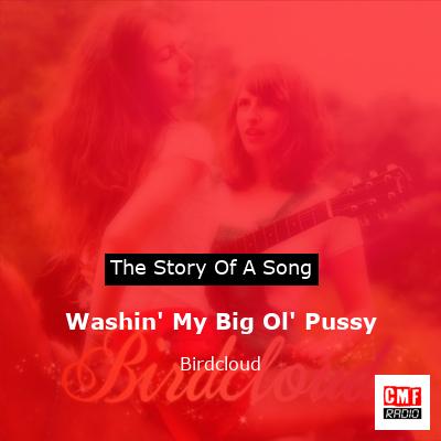 Washin’ My Big Ol’ Pussy – Birdcloud