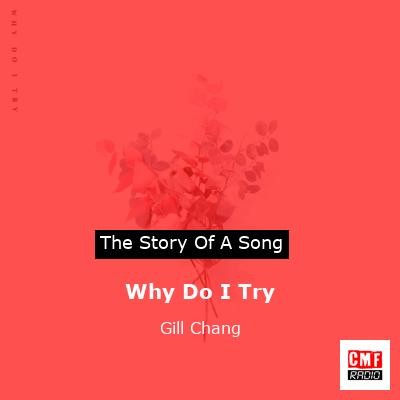 final cover Why Do I Try Gill Chang