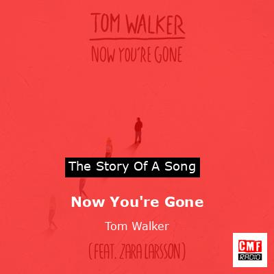 Now You’re Gone – Tom Walker