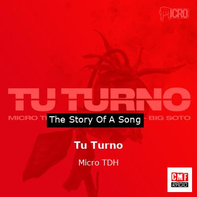 Tu Turno – Micro TDH