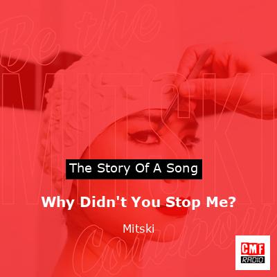 Why Didn’t You Stop Me? – Mitski