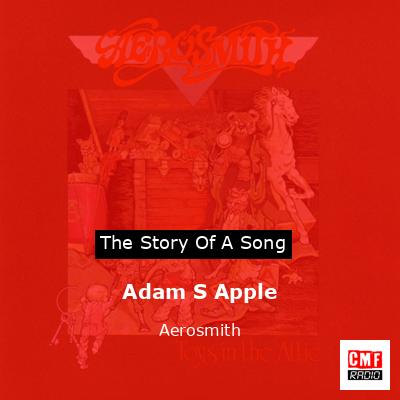 final cover Adam S Apple Aerosmith