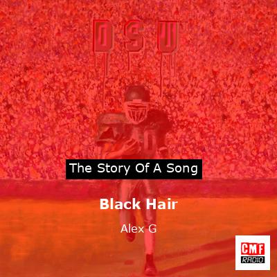 final cover Black Hair Alex G