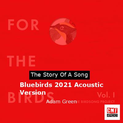 Bluebirds 2021 Acoustic Version – Adam Green
