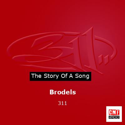 final cover Brodels 311
