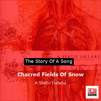 Charred Fields Of Snow – A Static Lullaby