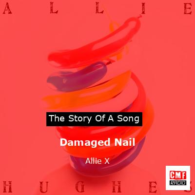 final cover Damaged Nail Allie X