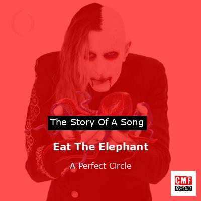 Eat The Elephant – A Perfect Circle