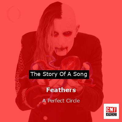 Feathers – A Perfect Circle