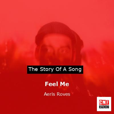 final cover Feel Me Aeris Roves