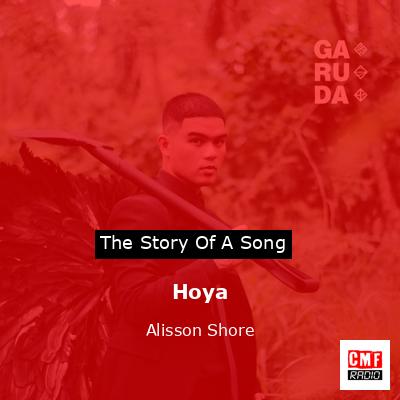 Hoya – Alisson Shore