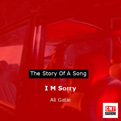I M Sorry – Ali Gatie