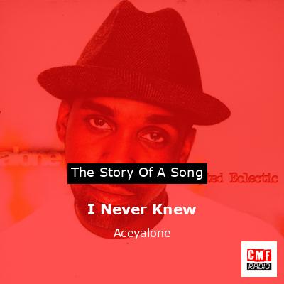 I Never Knew – Aceyalone