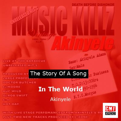 In The World – Akinyele