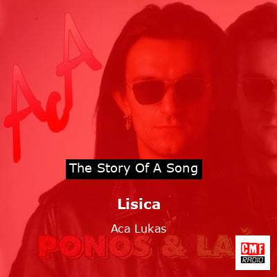 Lisica – Aca Lukas