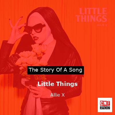 final cover Little Things Allie X