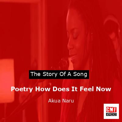 Poetry How Does It Feel Now – Akua Naru
