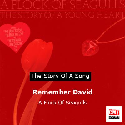 Remember David – A Flock Of Seagulls