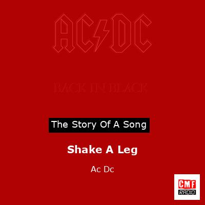 final cover Shake A Leg Ac Dc