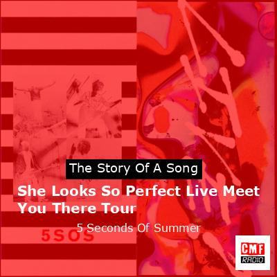 She Looks So Perfect Live Meet You There Tour – 5 Seconds Of Summer