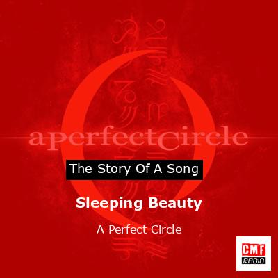 final cover Sleeping Beauty A Perfect Circle