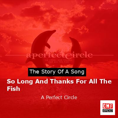 So Long And Thanks For All The Fish – A Perfect Circle
