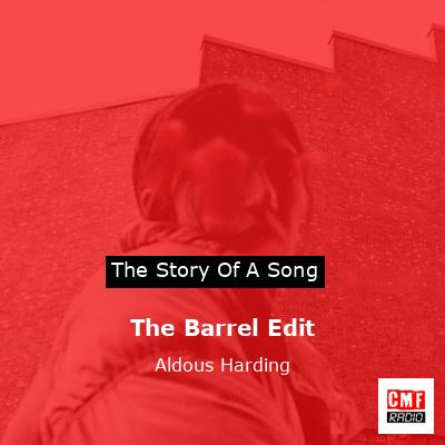 The Barrel Edit – Aldous Harding