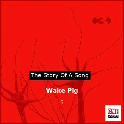 Wake Pig – 3