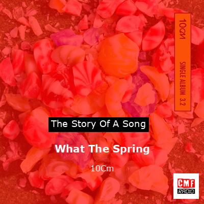 What The Spring – 10Cm