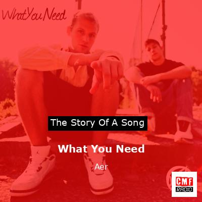 What You Need – Aer
