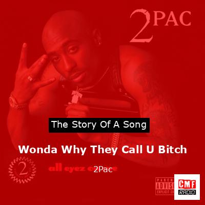 final cover Wonda Why They Call U Bitch 2Pac
